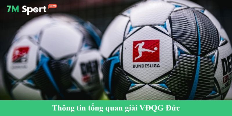 VĐQG Đức Thông tin tổng quan giải VĐQG Đức