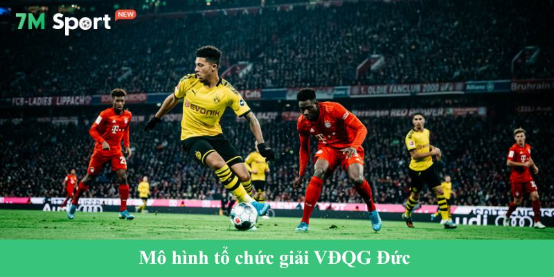 VĐQG Đức Mô hình tổ chức giải VĐQG Đức